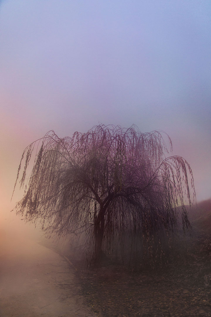 Photography 10
